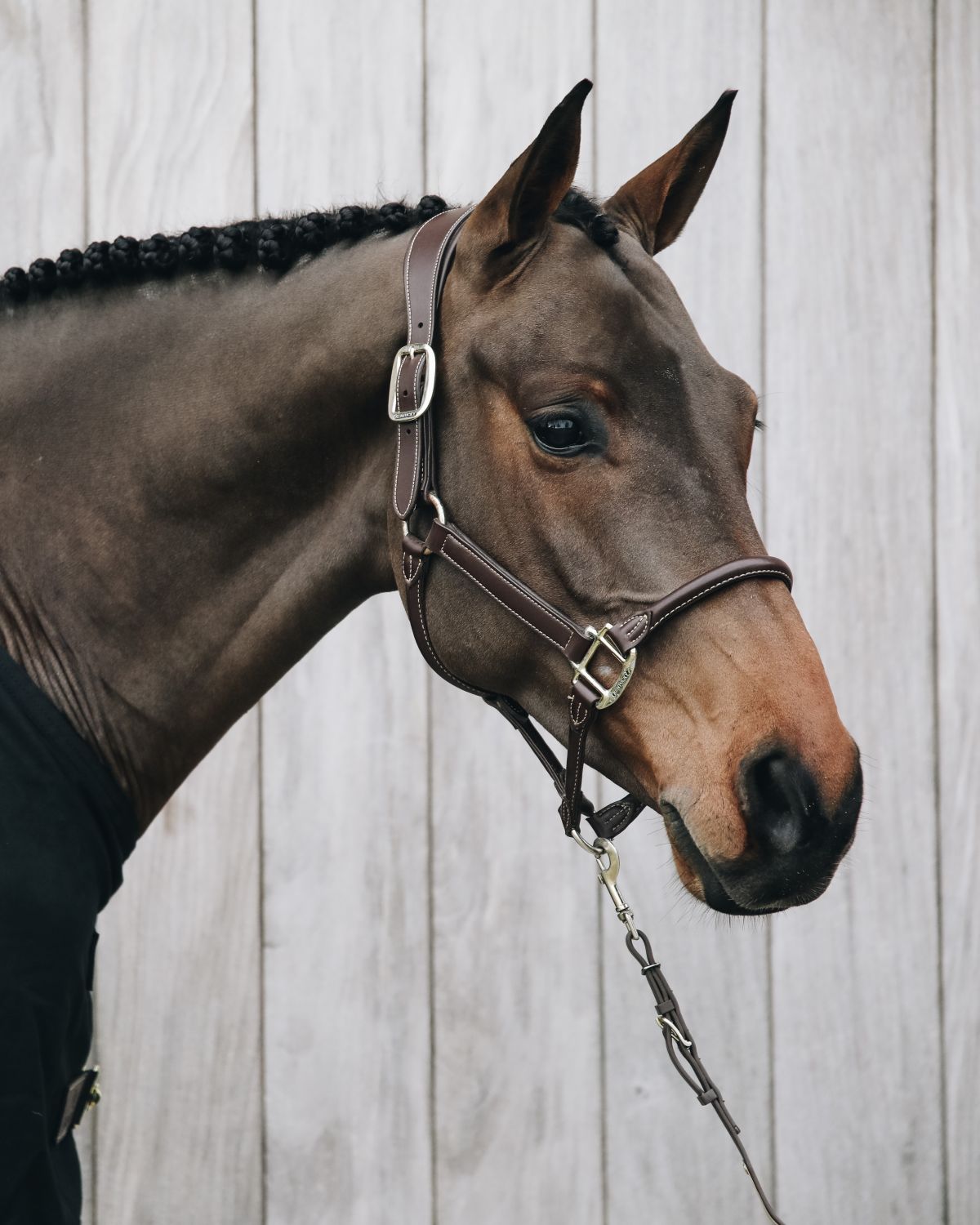 Kentucky Horsewear Anatomisch Leder halster Bruin full