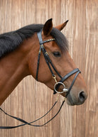 Equilook Hoofdstel Professional gecombineerde neusriem Zwart