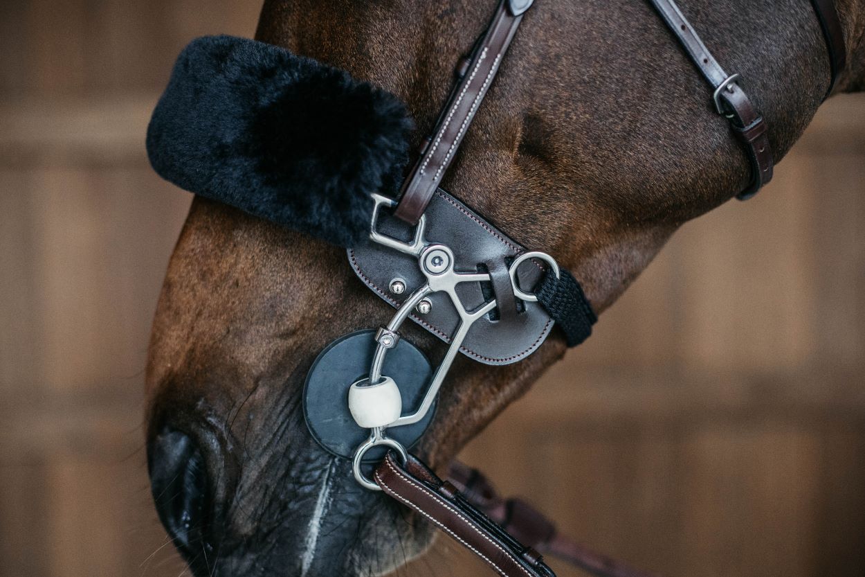 Dyon Hackamore Protection Brun