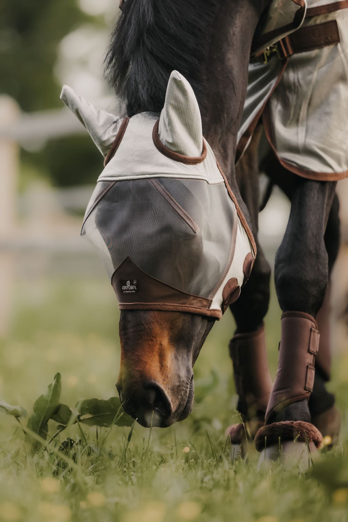 Masque anti-mouches Kentucky Horsewear Classic avec oreilles Zilver