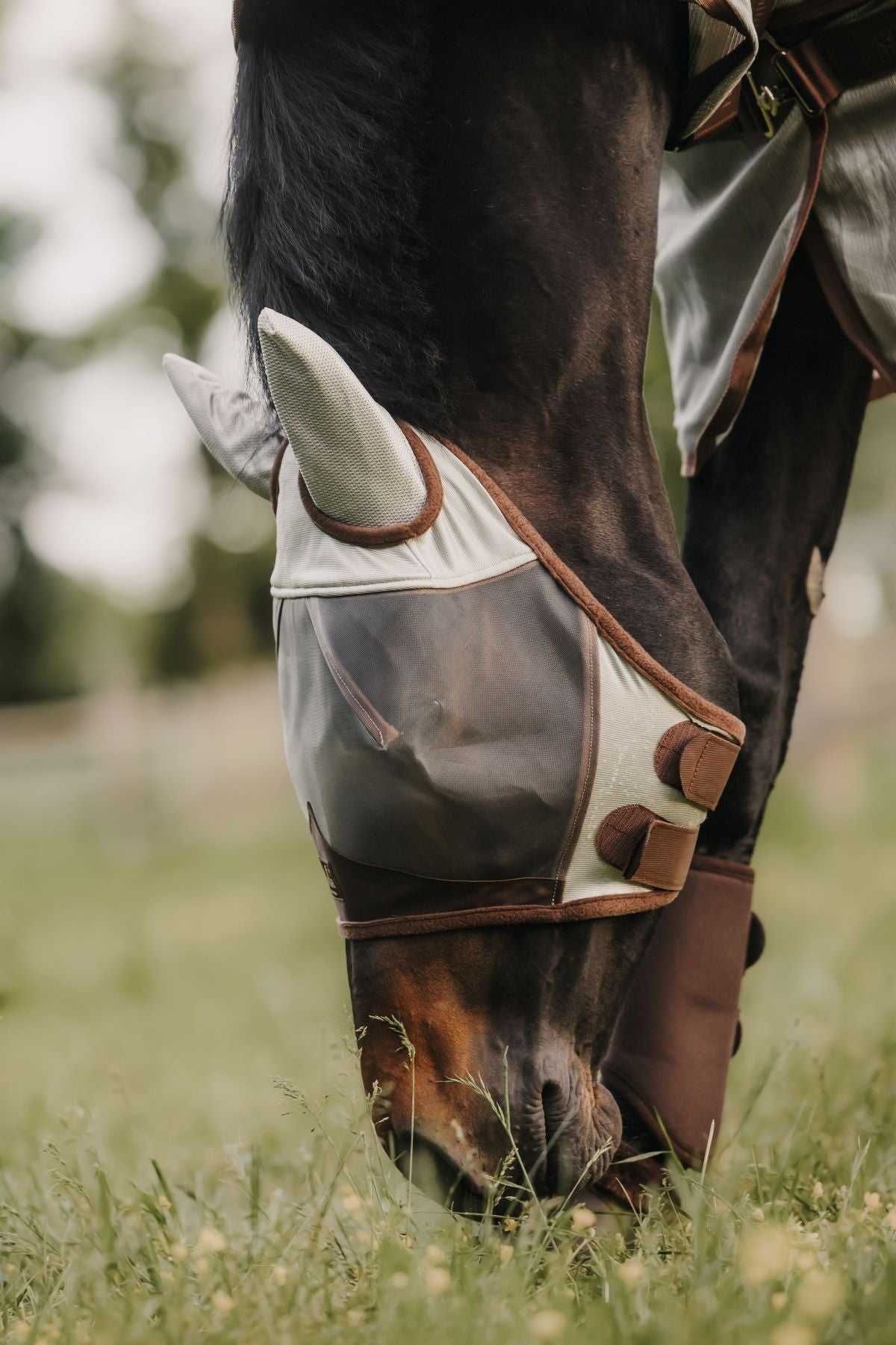 Masque anti-mouches Kentucky Horsewear Classic avec oreilles Zilver