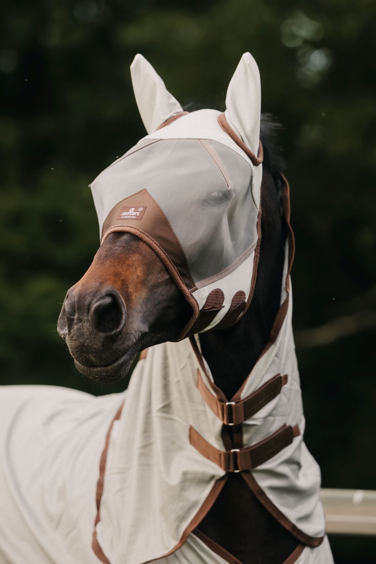 Masque anti-mouches Kentucky Horsewear Classic avec oreilles Zilver