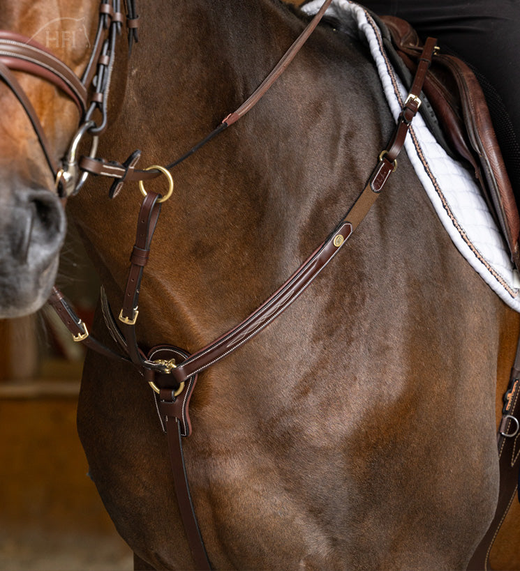 Collier de Chasse HFI Pro Line Arezzo avec Martingale