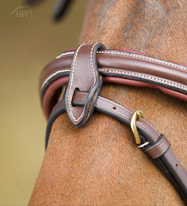 Bridon HFI Anatomic