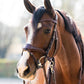 TRUST bridon Falsterbo T-Motion boucles argentées Marron