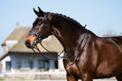 TRUST hoofdstel Wellington Stang & Trens wit onderlegd Zwart