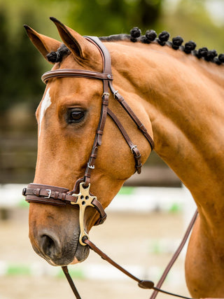 TRUST filet Hickstead Hackamore avec boucles en argent Marron