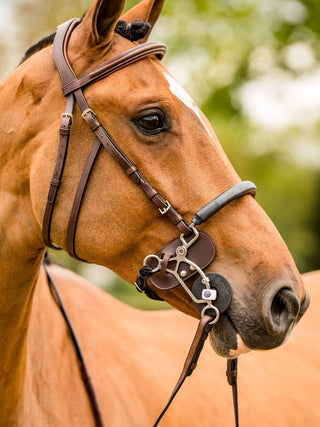 TRUST filet Hickstead Hackamore avec boucles en argent Marron