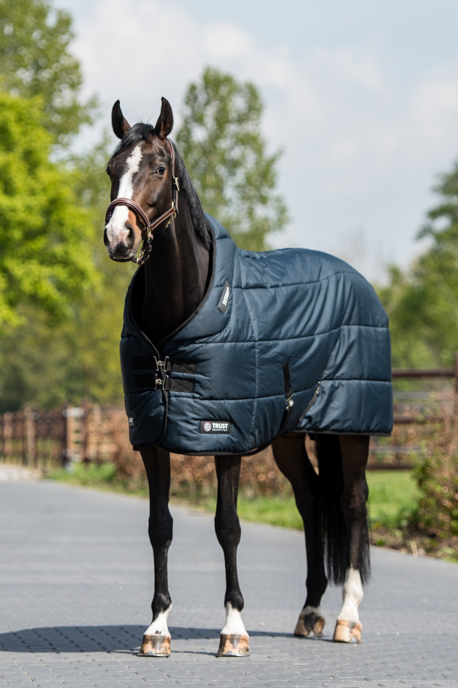 Trust TETRIS Staldeken 200 g Navy