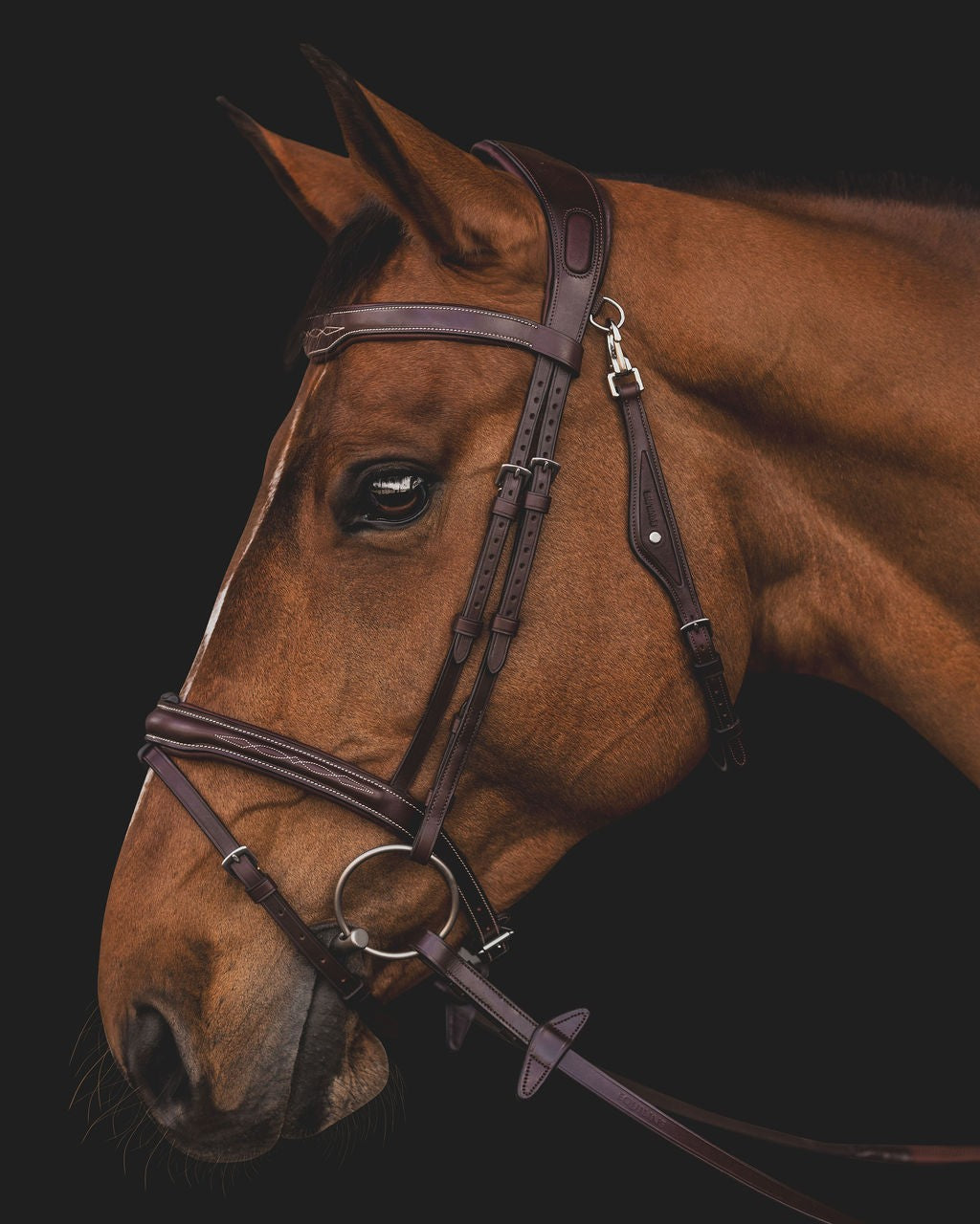 Equiline Hoofdstel Anatomisch smal gecombineerde neusriem Bruin Full