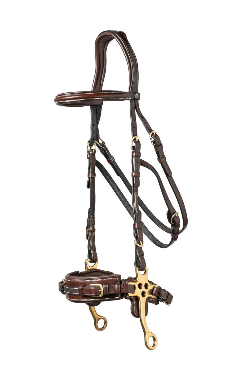 TRUST filet Hickstead Hackamore avec boucles dorées Marron