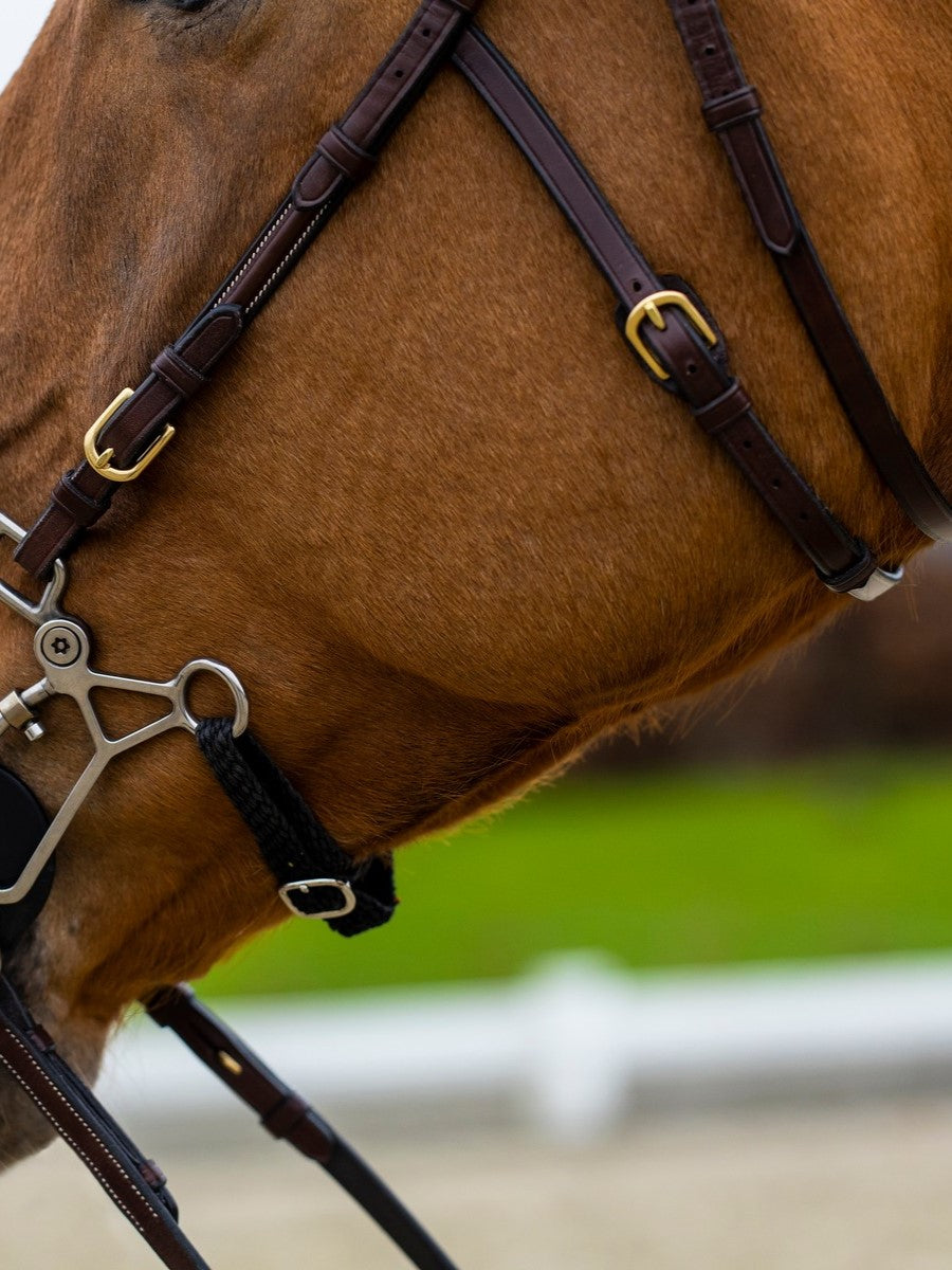 TRUST filet Hickstead Hackamore avec boucles dorées Marron