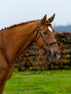 TRUST hoofdstel Hickstead Hackamore bridle gouden gespen Bruin