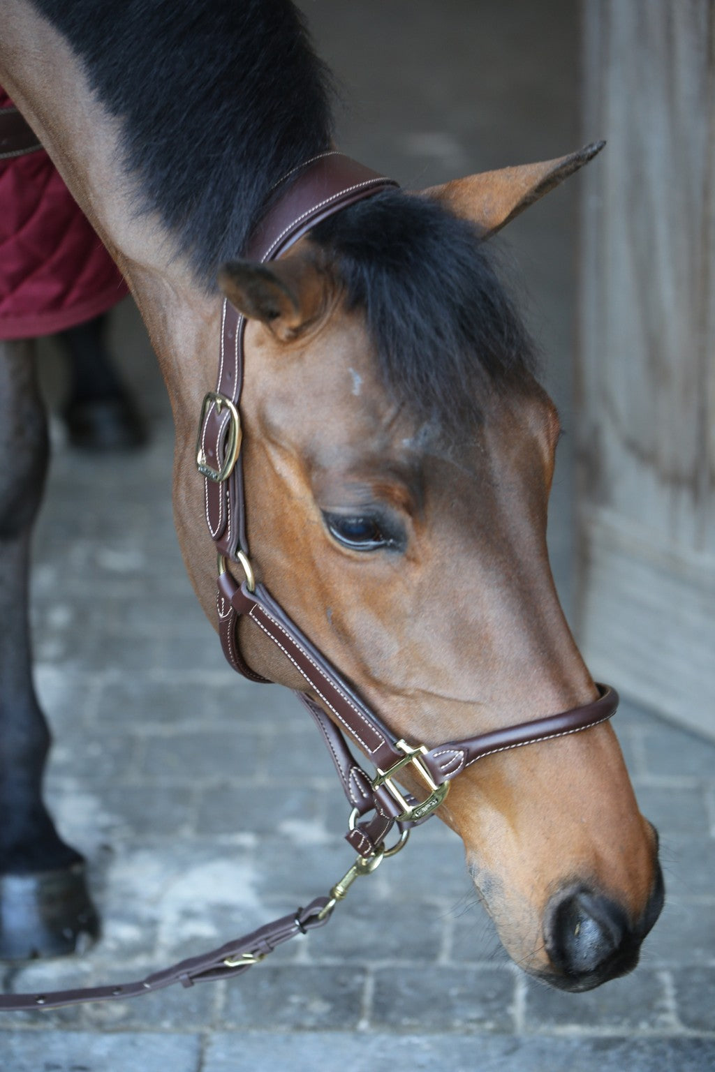 Kentucky Horsewear Anatomisch Leder halster