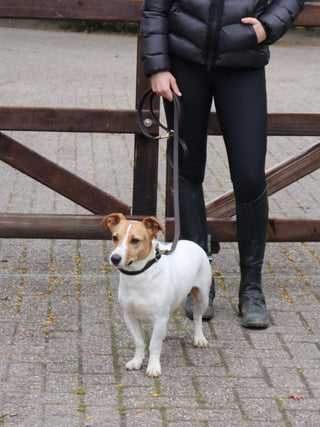 Collier en cuir et laisse pour chien Eskadron E-Dog Marron