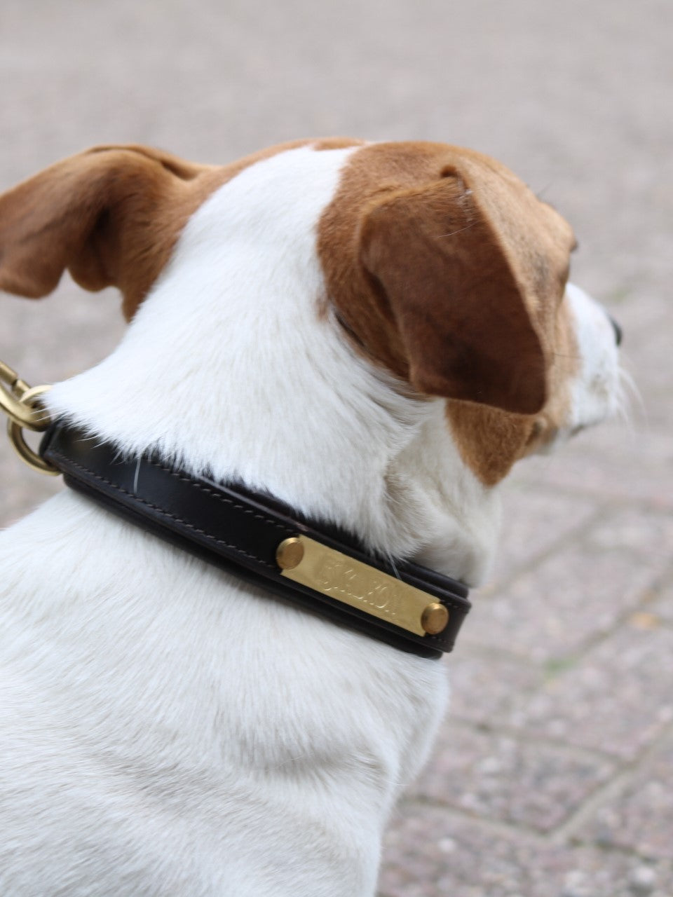 Collier en cuir et laisse pour chien Eskadron E-Dog Marron