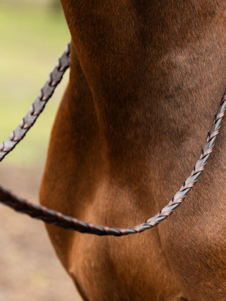 CONFIANCE Hunter rênes Boucles en argent tressées Marron