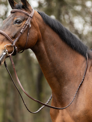 CONFIANCE Hunter rênes Boucles en argent tressées Marron