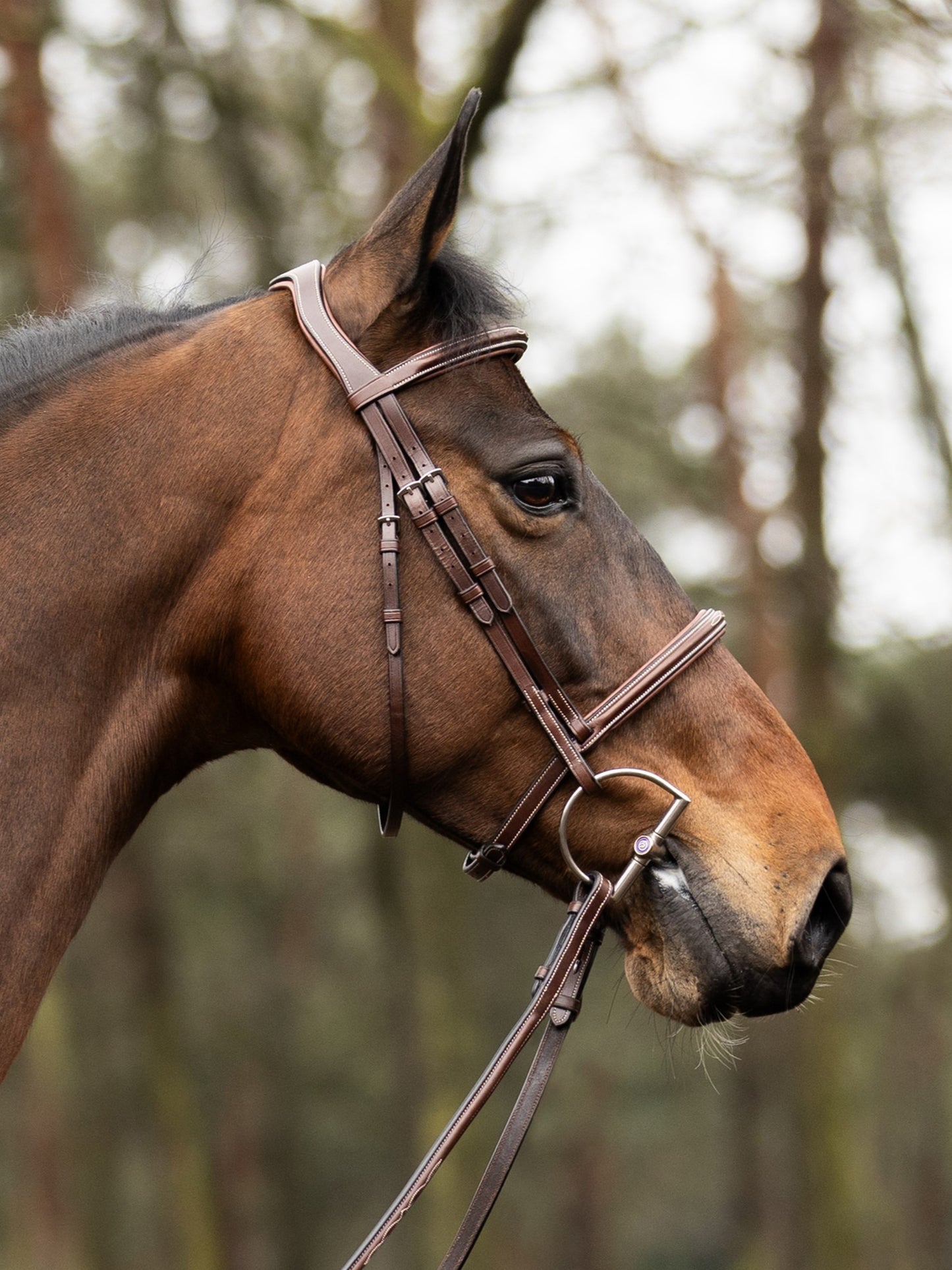 Harnais TRUST Hunter Kentucky boucle en argent Marron