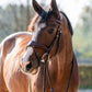 TRUST bridon Falsterbo T-Motion boucles argentées Marron