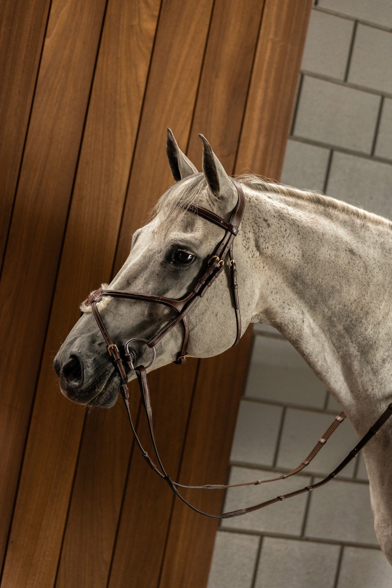 TRUST hoofdstel Oslo mexicaanse neusriem gouden gespen Bruin