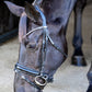 LJ Leathers Bridon Pro Selected La muserolle vernie Sunline Noir