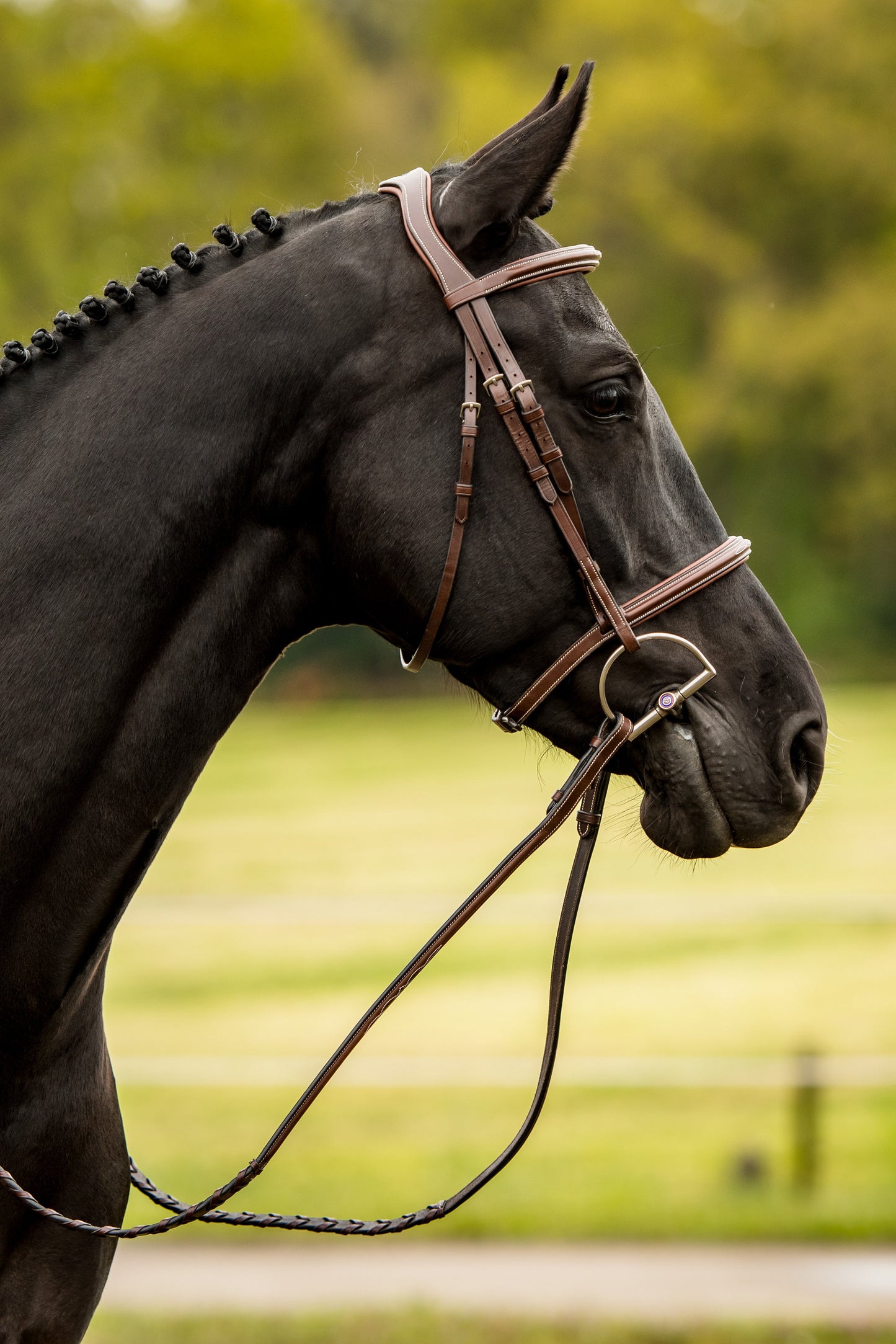 Harnais TRUST Hunter Kentucky boucle en argent Marron