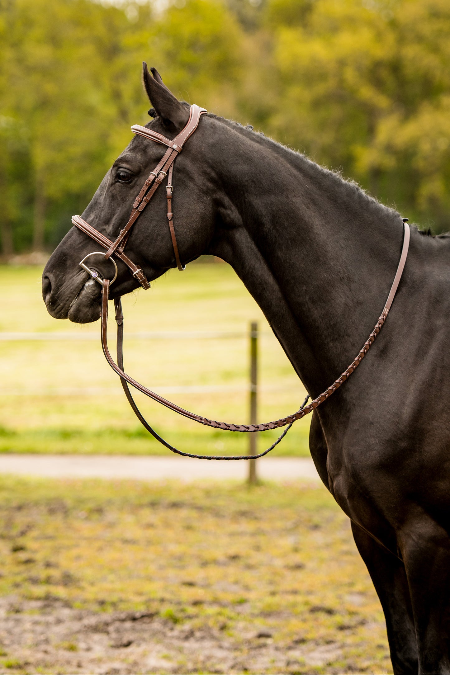 Harnais TRUST Hunter Kentucky boucle en argent Marron