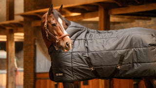 TAPIS STABLE TETRIS 200 gsm