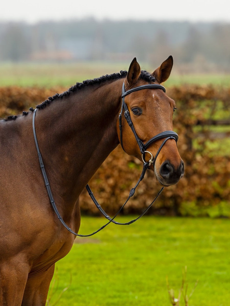 TRUST hoofdstel Amsterdam anatomisch gecombineerde neusriem zilveren gesp Zwart Zwart Full