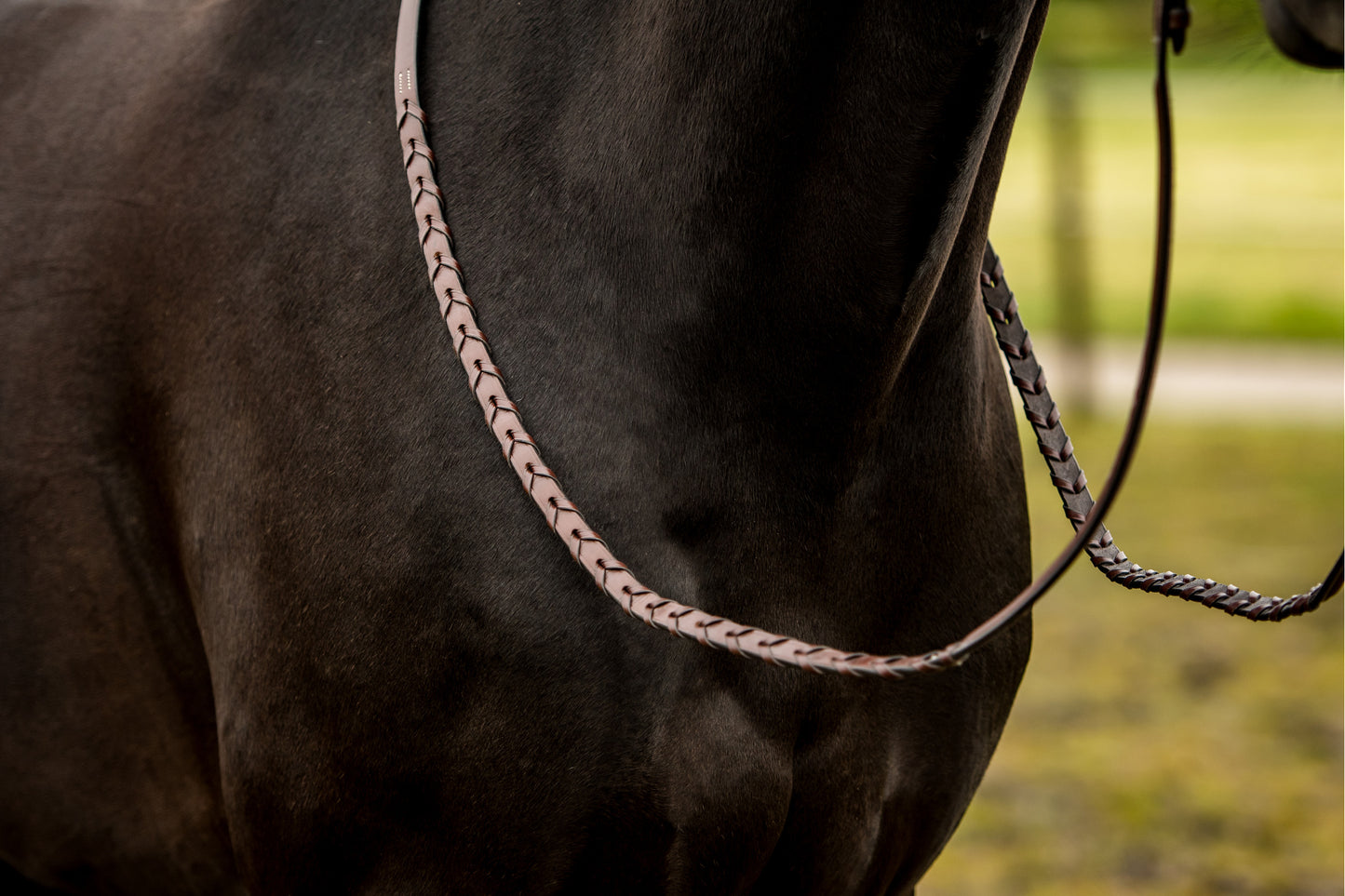 CONFIANCE Hunter rênes Boucles en argent tressées Marron