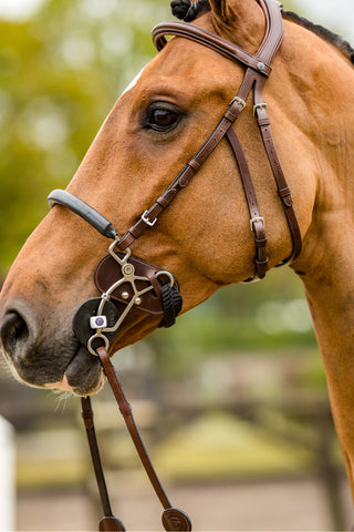 Protection en cuir Trust Hackamore