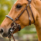 TRUST filet Hickstead Hackamore avec boucles en argent Marron