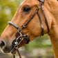 TRUST filet Hickstead Hackamore avec boucles en argent Marron
