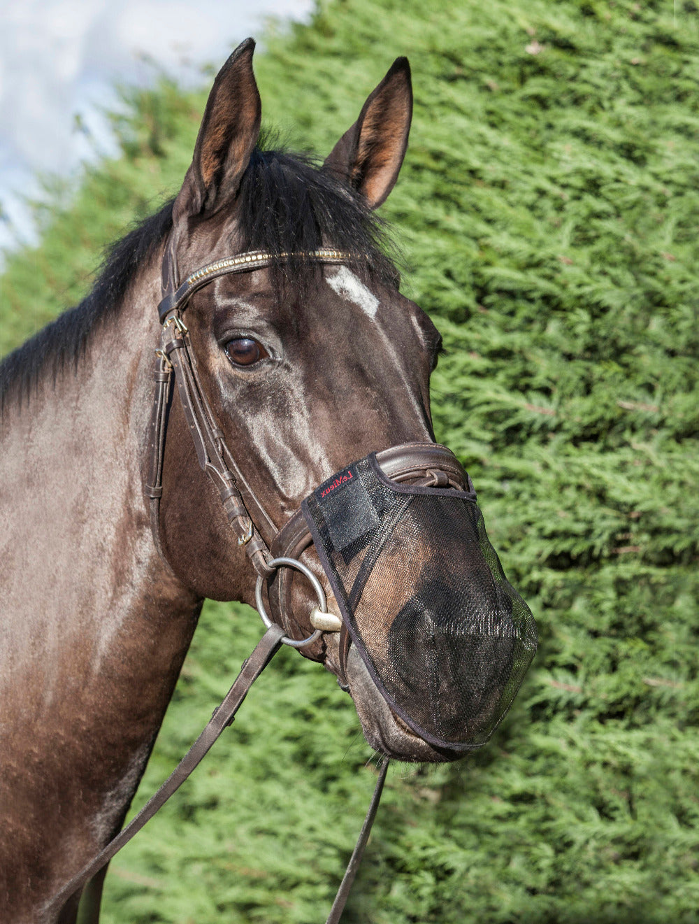 Filtre de nez LeMieux Comfort Shield 2 pièces