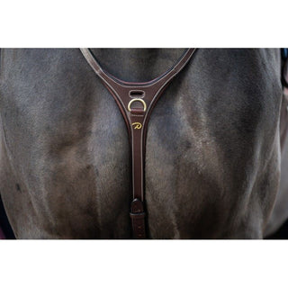 Dyon D Collection martingale Yoke marron