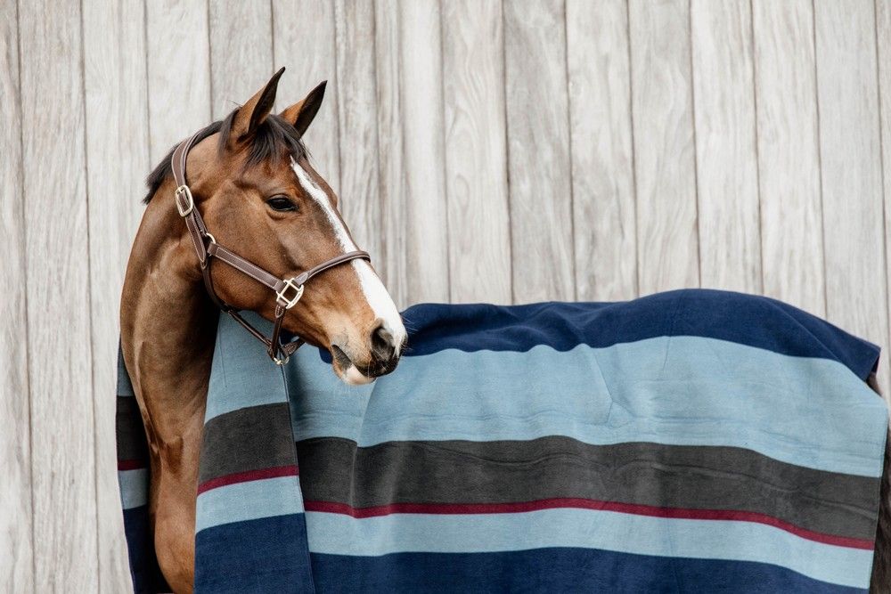 Couverture en polaire épaisse Kentucky Horsewear à rayures carrées bleu marine/gris