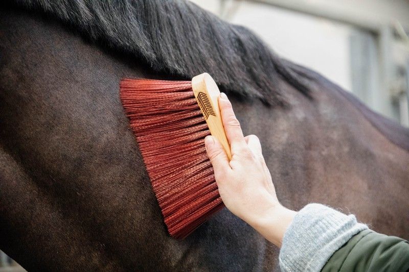 Brosse Longue Marron Deluxe Grooming