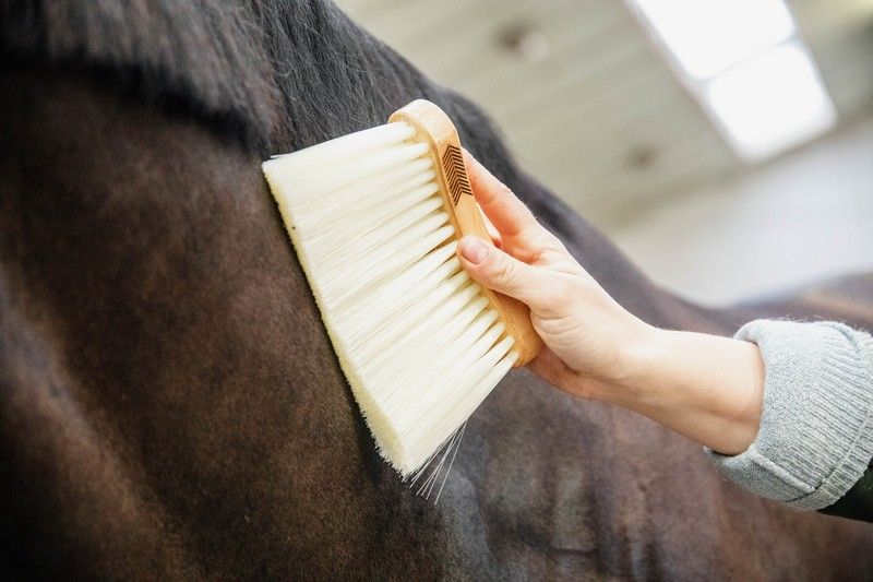 Brosse Longue Naturelle Deluxe Grooming