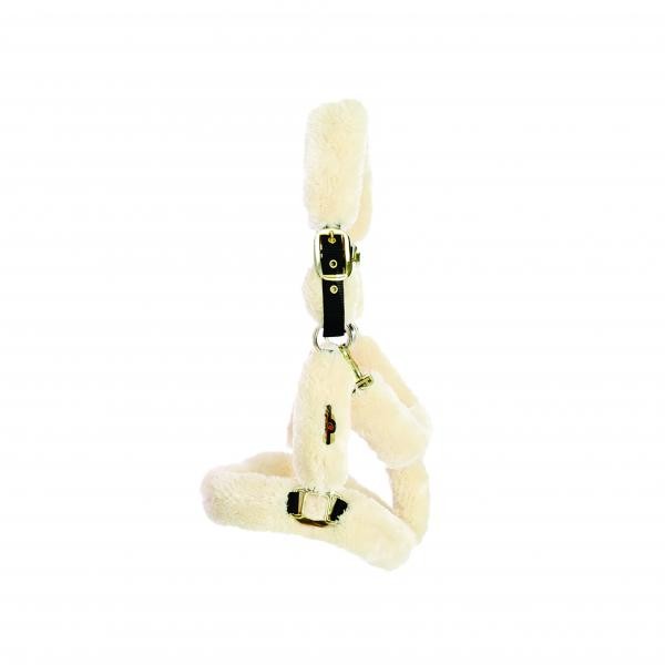 Kentucky Horsewear transporthalster wol