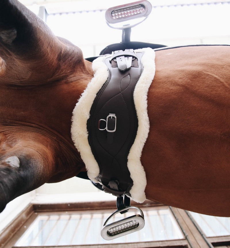 Kentucky Horsewear anatomische dressuursingel met wol