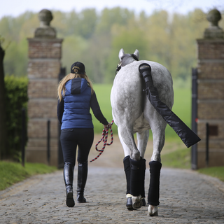 Bandages en laine Kentucky horsewear pour écurie et transport bleus