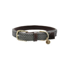 Kentucky Dogwar Gevlochten Nylon Hondenhalsband Grijs