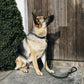 Laisse en nylon tressé Kentucky Dogwear