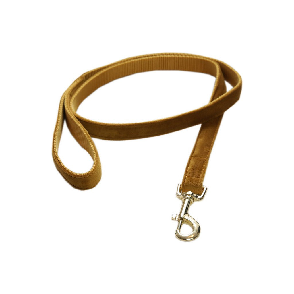 Laisse pour chien en velours Kentucky Dogwear