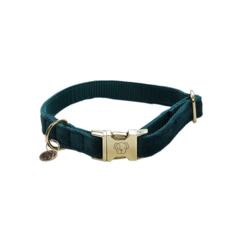 Collier pour chien Kentucky Dogwear Velvet