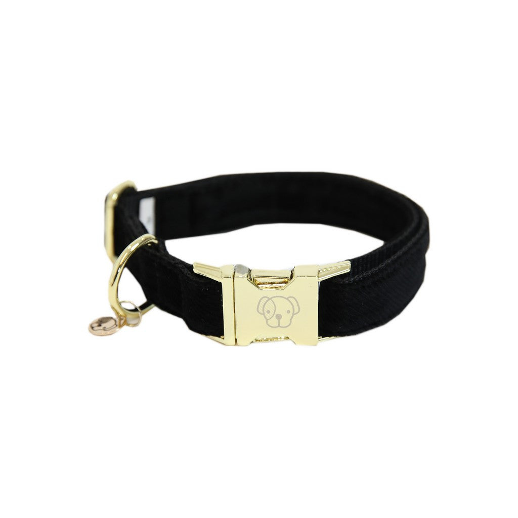 Collier pour chien en velours côtelé Kentucky Dogwear