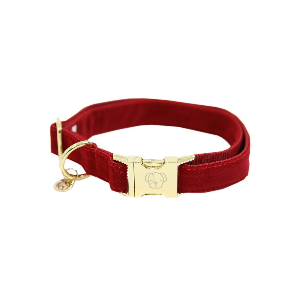 Collier pour chien en velours côtelé Kentucky Dogwear