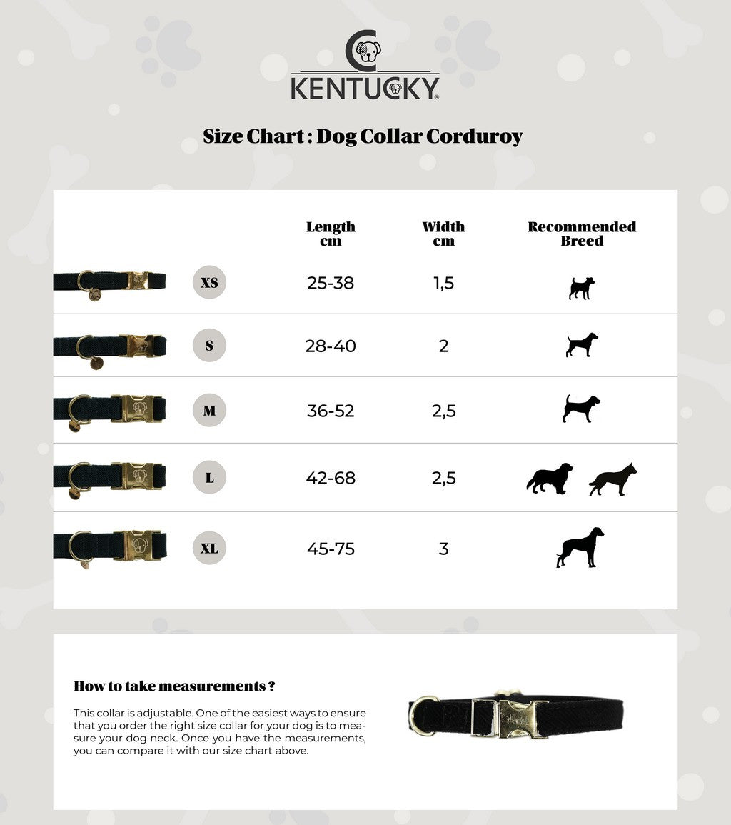 Collier pour chien en velours côtelé Kentucky Dogwear