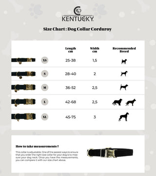 Collier pour chien en velours côtelé Kentucky Dogwear